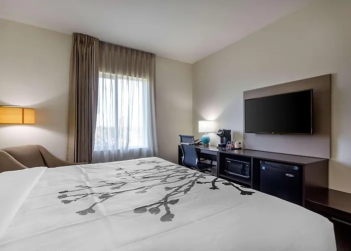 Sleep Inn & Suites Tampa South