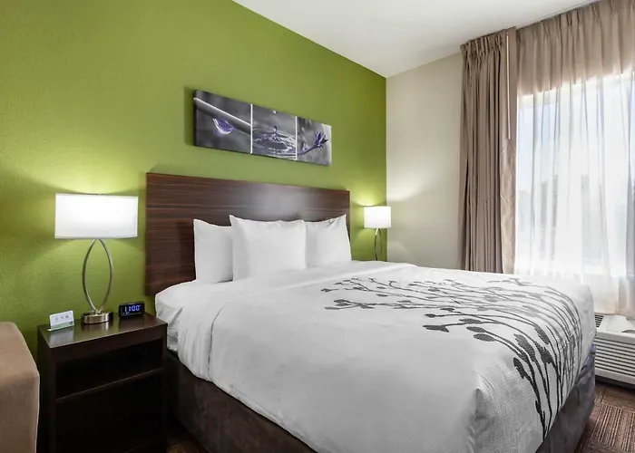 Sleep Inn & Suites Tampa South